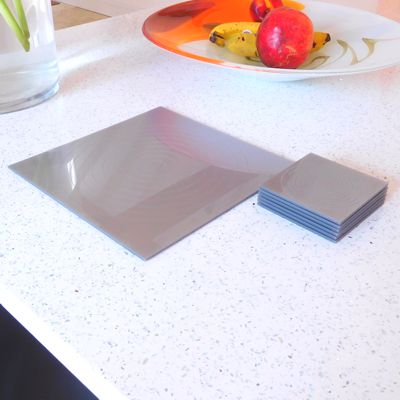 Silver Gloss Circlets Coasters and Placemats