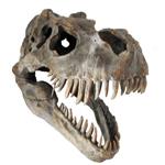 Contemporary Trophy Head Wall Art