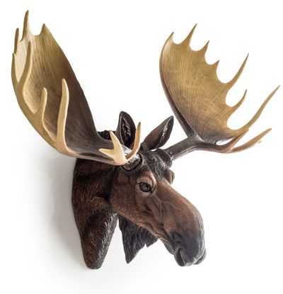 Large Moose Wall Head 65cm width x 65cm height x 38cm depth